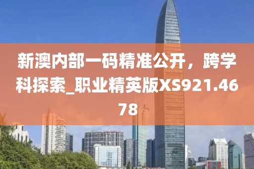 新澳内部一码精准公开，跨学科探索_职业精英版XS921.4678