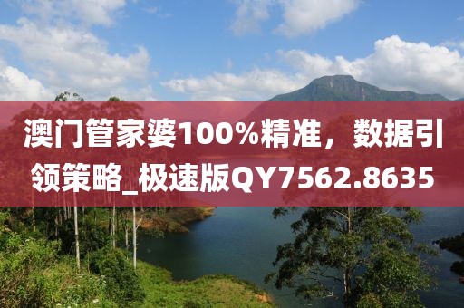 澳门管家婆100%精准，数据引领策略_极速版QY7562.8635