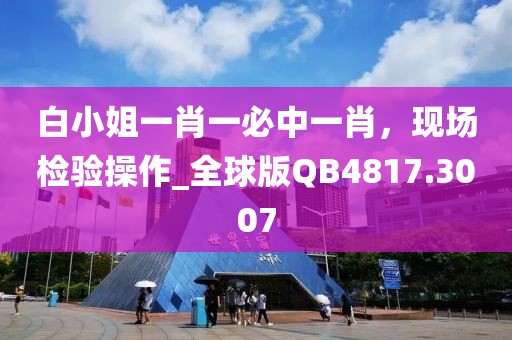 白小姐一肖一必中一肖，现场检验操作_全球版QB4817.3007