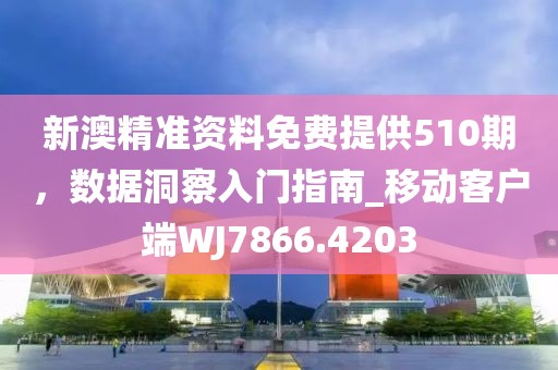 新澳精准资料免费提供510期，数据洞察入门指南_移动客户端WJ7866.4203