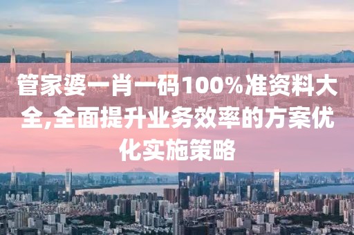 管家婆一肖一码100%准资料大全,全面提升业务效率的方案优化实施策略