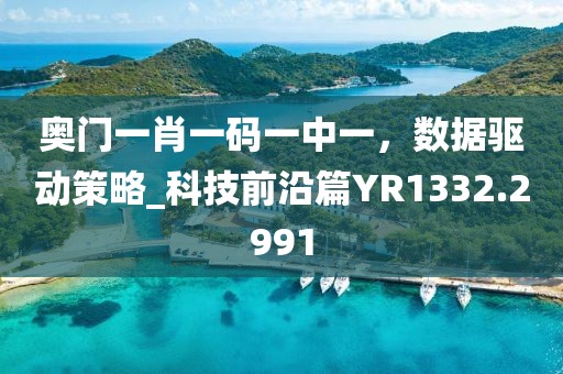 奥门一肖一码一中一，数据驱动策略_科技前沿篇YR1332.2991