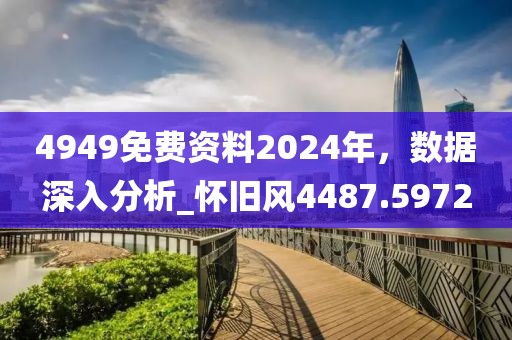 4949免费资料2024年，数据深入分析_怀旧风4487.5972