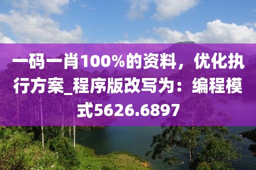 一码一肖100%的资料，优化执行方案_程序版改写为：编程模式5626.6897