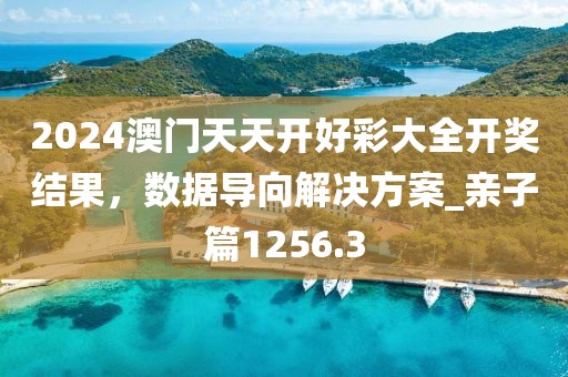 2024澳门天天开好彩大全开奖结果，数据导向解决方案_亲子篇1256.3