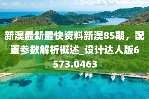 新澳最新最快资料新澳85期，配置参数解析概述_设计达人版6573.0463