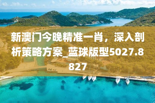 新澳门今晚精准一肖，深入剖析策略方案_蓝球版型5027.8827