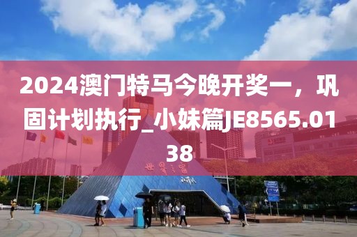 2024澳门特马今晚开奖一，巩固计划执行_小妹篇JE8565.0138