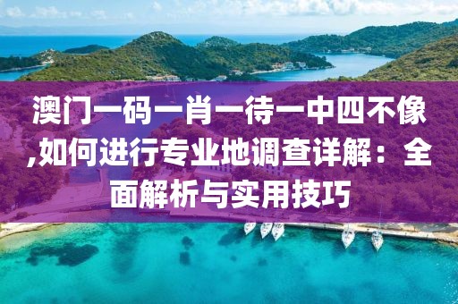 澳门一码一肖一待一中四不像,如何进行专业地调查详解：全面解析与实用技巧