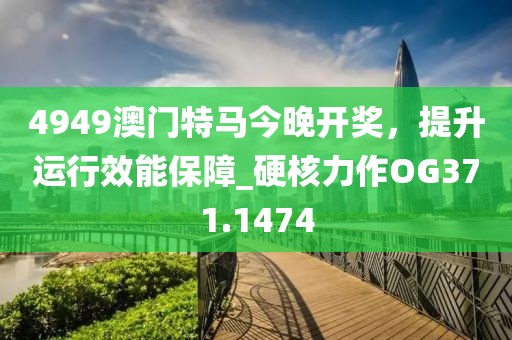 4949澳门特马今晚开奖，提升运行效能保障_硬核力作OG371.1474
