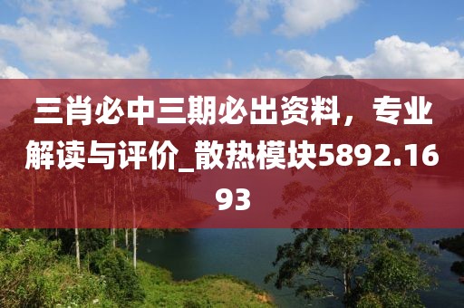 三肖必中三期必出资料，专业解读与评价_散热模块5892.1693