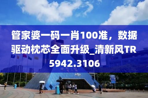管家婆一码一肖100准，数据驱动枕芯全面升级_清新风TR5942.3106