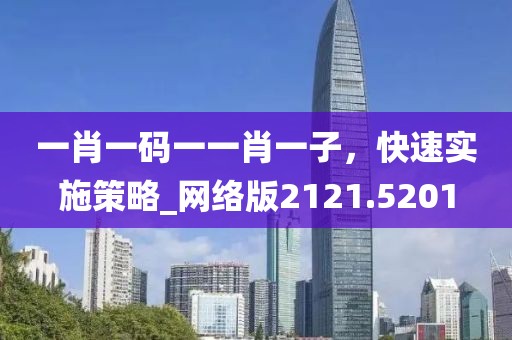 一肖一码一一肖一子，快速实施策略_网络版2121.5201