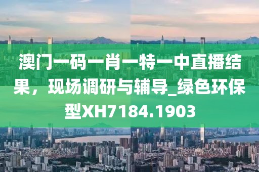 澳门一码一肖一特一中直播结果，现场调研与辅导_绿色环保型XH7184.1903