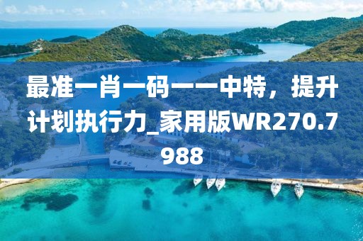 最准一肖一码一一中特，提升计划执行力_家用版WR270.7988
