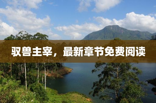 驭兽主宰，最新章节免费阅读