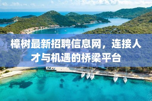 樟树最新招聘信息网，连接人才与机遇的桥梁平台