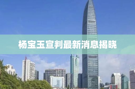 杨宝玉宣判最新消息揭晓