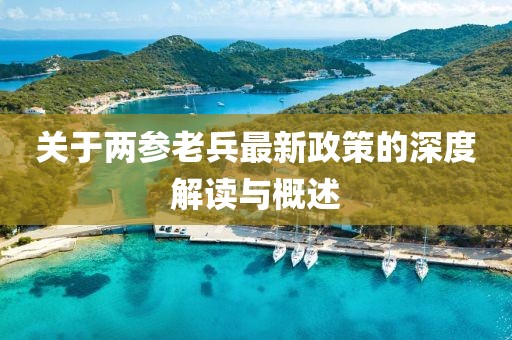关于两参老兵最新政策的深度解读与概述