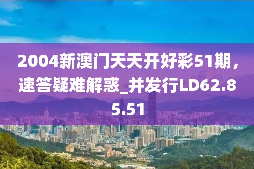 2004新澳门天天开好彩51期，速答疑难解惑_并发行LD62.85.51