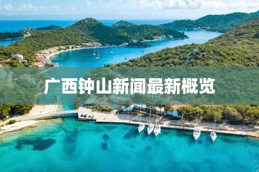 广西钟山新闻最新概览