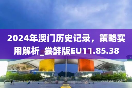 2024年澳门历史记录，策略实用解析_尝鲜版EU11.85.38