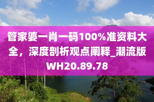 管家婆一肖一码100%准资料大全，深度剖析观点阐释_潮流版WH20.89.78