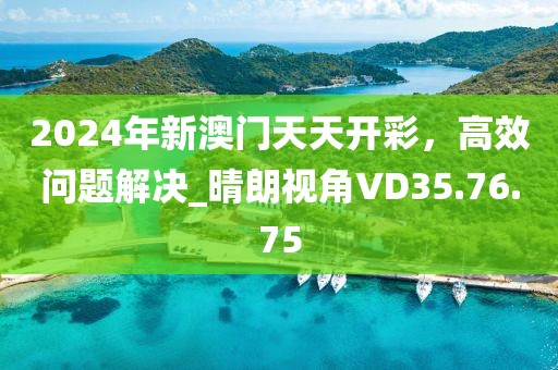 2024年新澳门天天开彩，高效问题解决_晴朗视角VD35.76.75