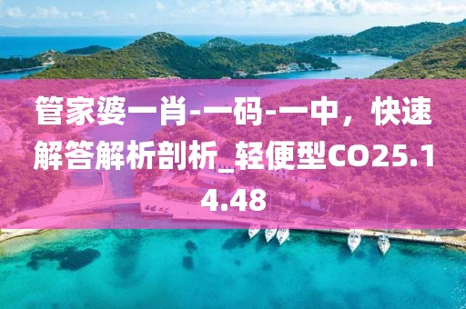 管家婆一肖-一码-一中，快速解答解析剖析_轻便型CO25.14.48