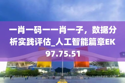 一肖一码一一肖一子，数据分析实践评估_人工智能篇章EK97.75.51
