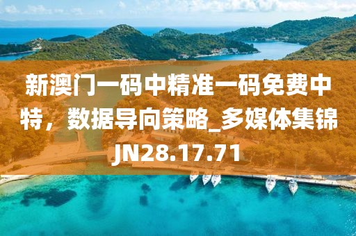 新澳门一码中精准一码免费中特，数据导向策略_多媒体集锦JN28.17.71