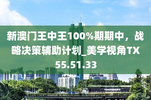 新澳门王中王100%期期中，战略决策辅助计划_美学视角TX55.51.33