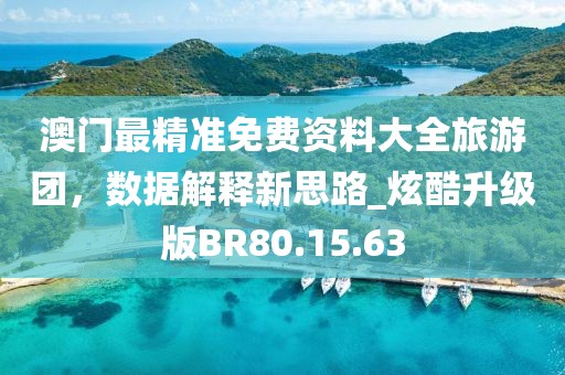 澳门最精准免费资料大全旅游团，数据解释新思路_炫酷升级版BR80.15.63