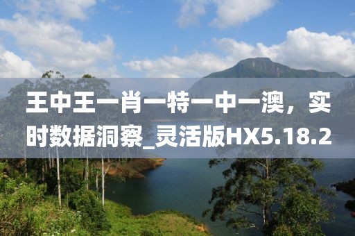王中王一肖一特一中一澳，实时数据洞察_灵活版HX5.18.20