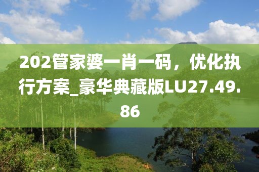 202管家婆一肖一码，优化执行方案_豪华典藏版LU27.49.86