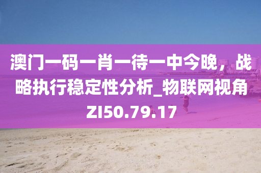 澳门一码一肖一待一中今晚，战略执行稳定性分析_物联网视角ZI50.79.17