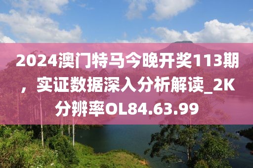 2024澳门特马今晚开奖113期，实证数据深入分析解读_2K分辨率OL84.63.99
