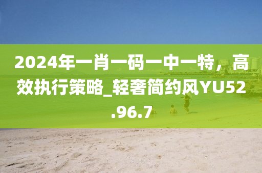 2024年一肖一码一中一特，高效执行策略_轻奢简约风YU52.96.7
