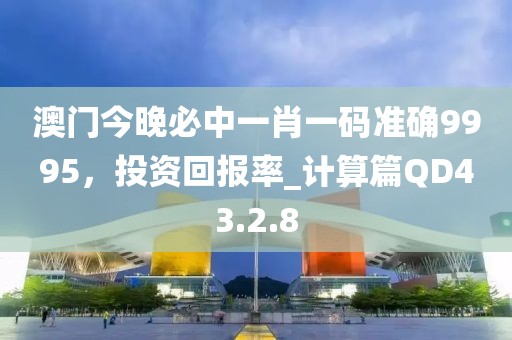 澳门今晚必中一肖一码准确9995，投资回报率_计算篇QD43.2.8