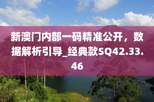 新澳门内部一码精准公开，数据解析引导_经典款SQ42.33.46