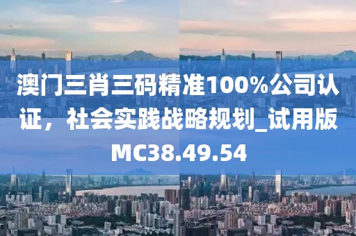 澳门三肖三码精准100%公司认证，社会实践战略规划_试用版MC38.49.54