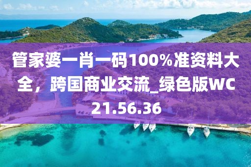 管家婆一肖一码100%准资料大全，跨国商业交流_绿色版WC21.56.36