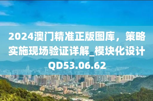 2024澳门精准正版图库，策略实施现场验证详解_模块化设计QD53.06.62