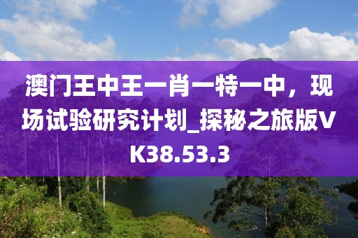 澳门王中王一肖一特一中，现场试验研究计划_探秘之旅版VK38.53.3