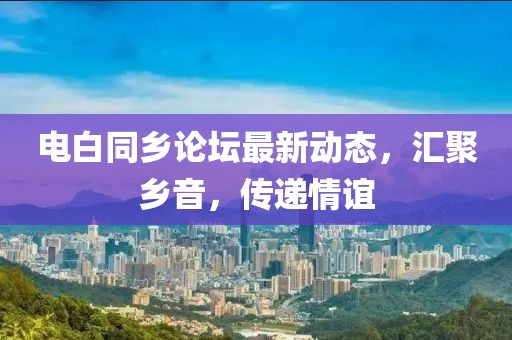 电白同乡论坛最新动态，汇聚乡音，传递情谊