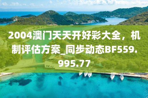 2004澳门天天开好彩大全，机制评估方案_同步动态BF559.995.77