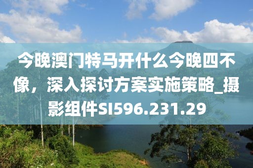 今晚澳门特马开什么今晚四不像，深入探讨方案实施策略_摄影组件SI596.231.29