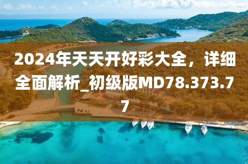 2024年天天开好彩大全，详细全面解析_初级版MD78.373.77