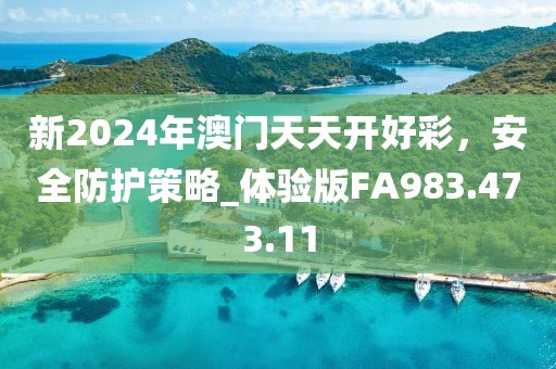 新2024年澳门天天开好彩，安全防护策略_体验版FA983.473.11