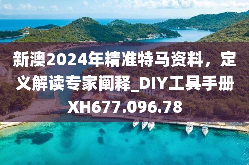 新澳2024年精准特马资料，定义解读专家阐释_DIY工具手册XH677.096.78